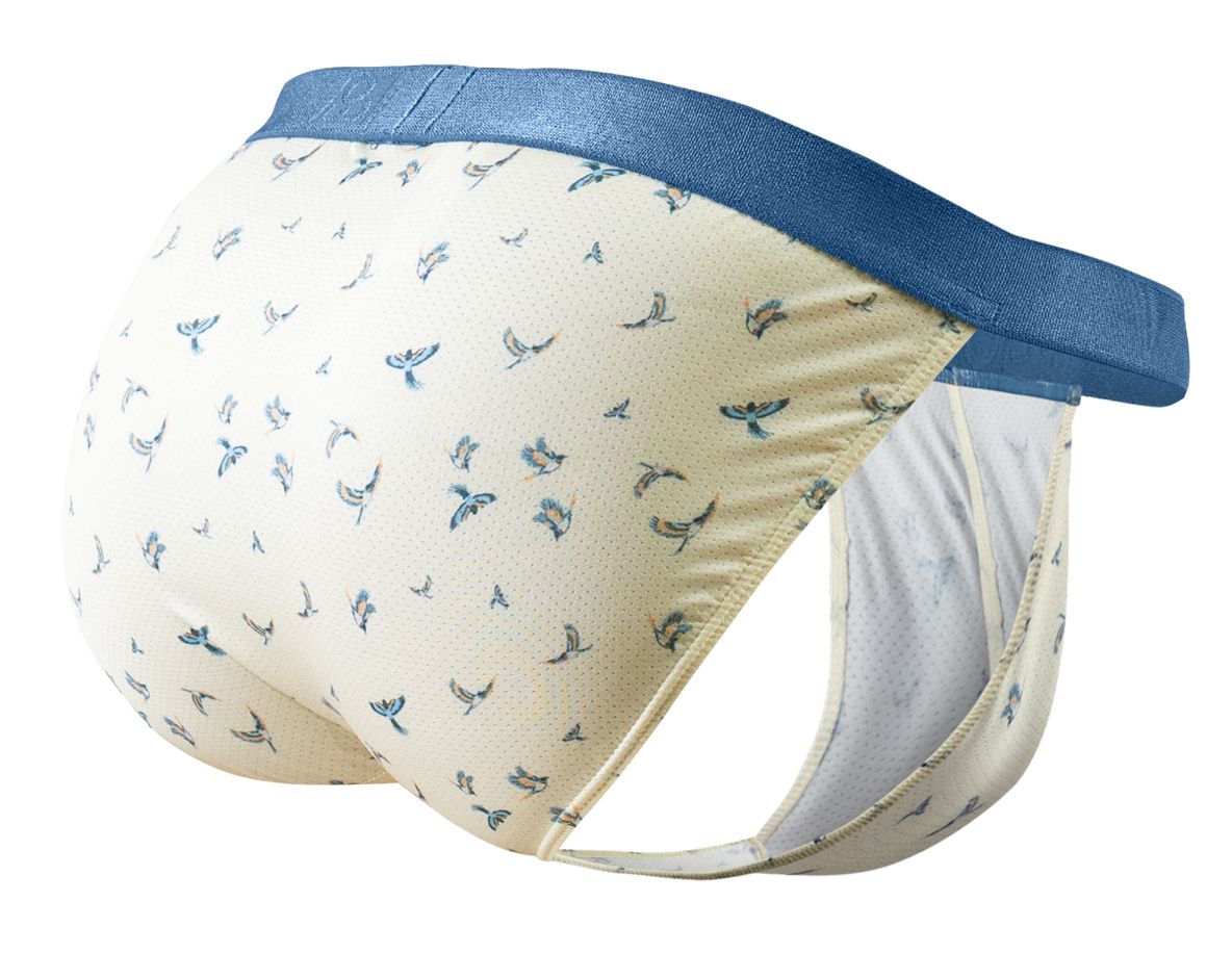 Beige ergoWear ew1769 slk se bikini briefs with blue bird pattern and navy waistband in vanilla-birds color