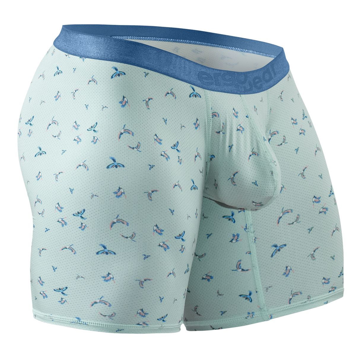 Light green ergo wear ew1779 slk se boxer briefs with blue waistband and blue bird patterns in frost design