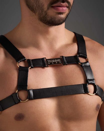 Black leather flex harness with gold toned metal rings and central plaque engraved teamb play