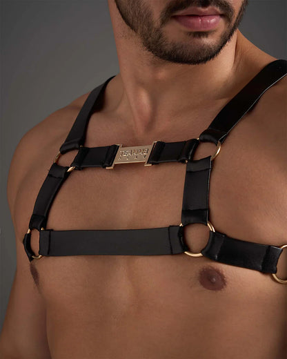 Black leather flex harness with gold toned metal rings and central tampo engraved plaque