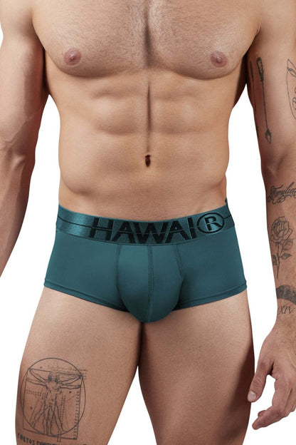 Teal green hawaï 41961 microfiber men’s briefs with black waistband logo for comfortable everyday wear
