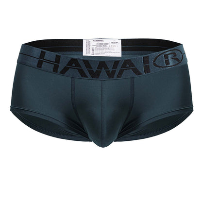 Dark teal hawaii® men’s microfiber briefs with a black elastic waistband featuring the brand logo in green color