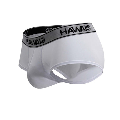 White Hawai microfiber briefs with black and gray logo elastic waistband in color white front view