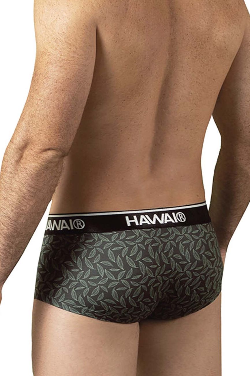Dark gray hawai 42380 printed briefs with subtle leaf pattern and black waistband with hawai brand name in white lettering