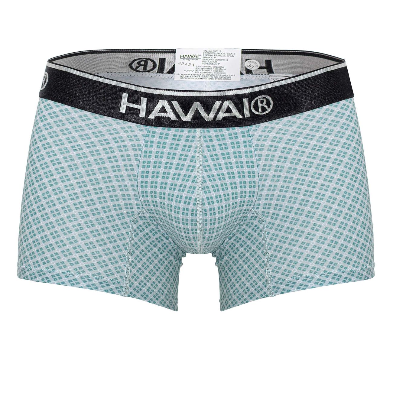 Hawaii 42421 printed trunks green men’s boxer briefs in light teal white checkered pattern with black elastic waistband