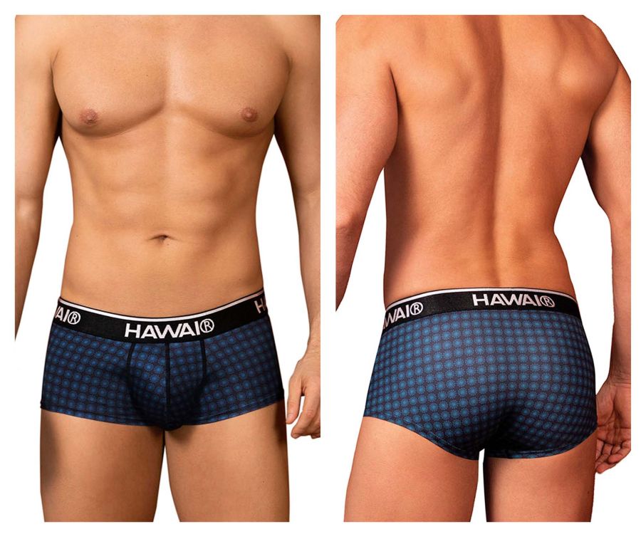 Blue checkered hawaii 42430 printed briefs with black elastic waistband featuring brand logo for men