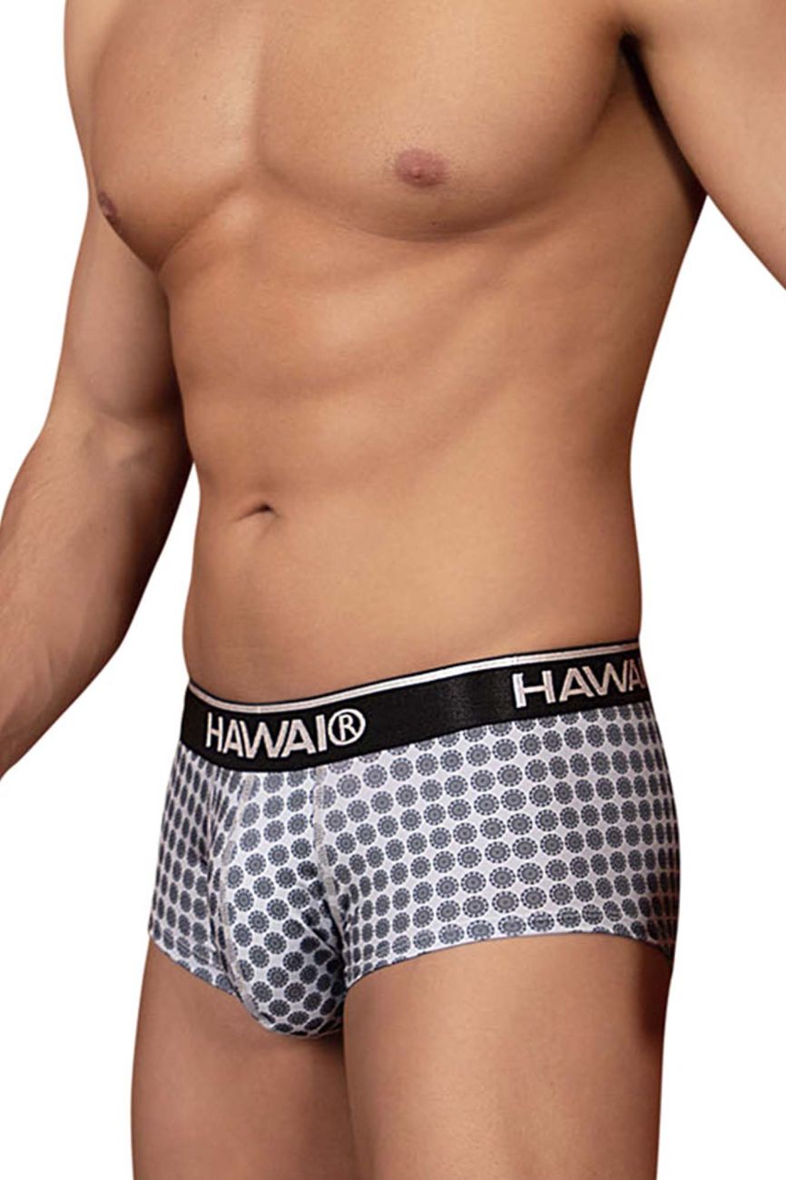 Hawai 42430 printed briefs in gray with Hawaiian pattern and black waistband featuring Hawaii brand name in white lettering