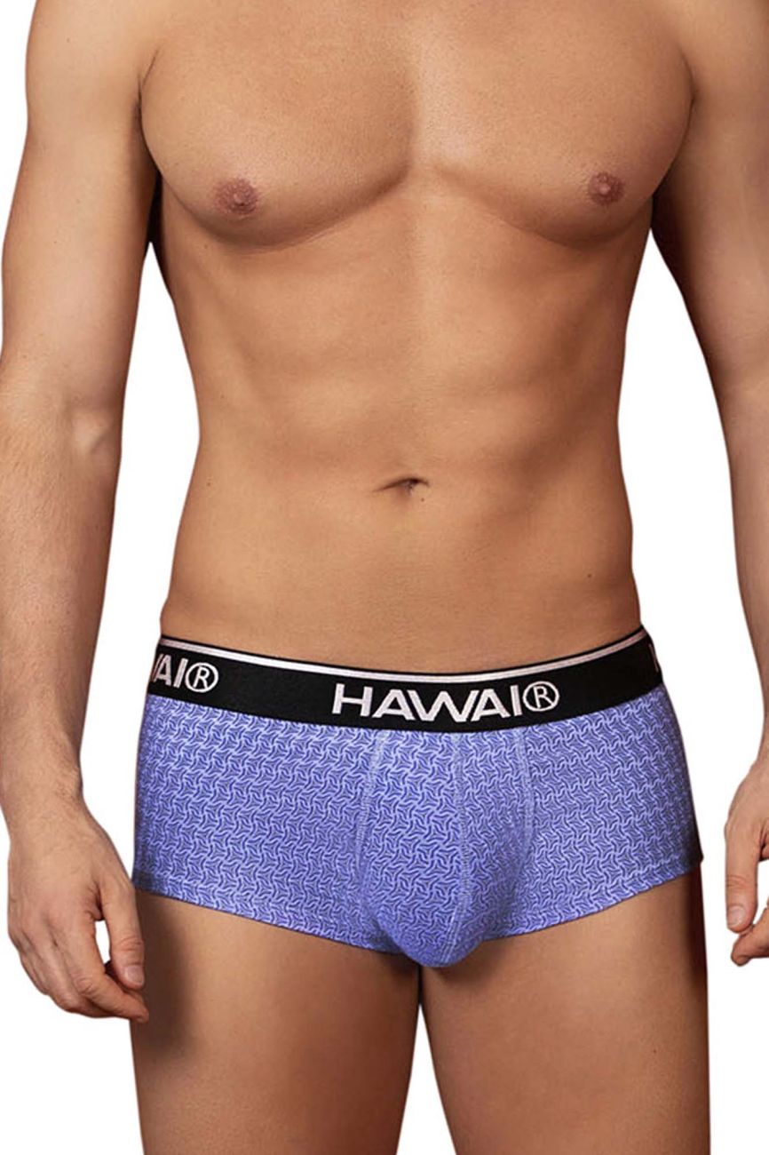 Purple patterned briefs with black hawaii waistband in blue color from hawaii 42431 printed briefs collection