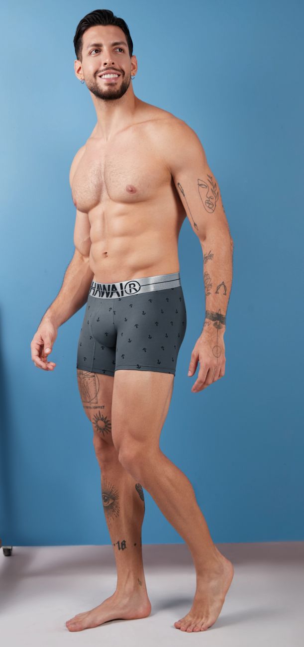 Gray cotton blend boxer briefs hawai 42521 with subtle pattern and silver waistband featuring hanna logo
