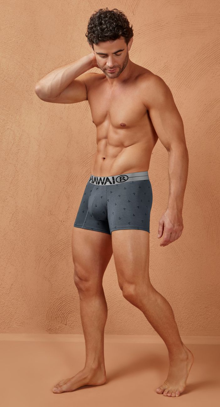 Blue patterned cotton blend boxer briefs with gray hawaii brand waistband in color gray trunks style