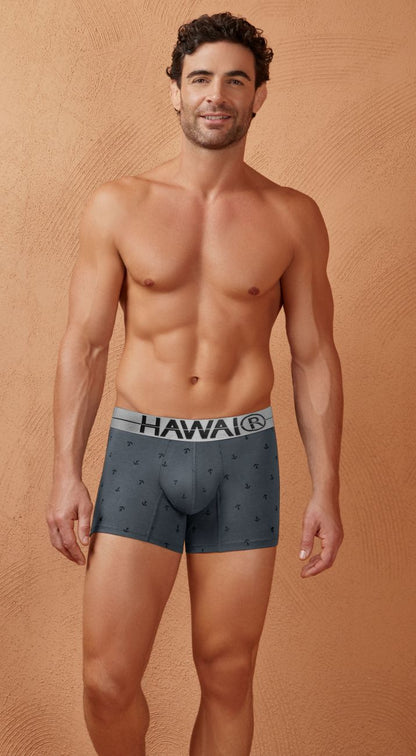 Dark gray cotton blend boxer briefs with subtle pattern and light gray waistband featuring hawaii brand name