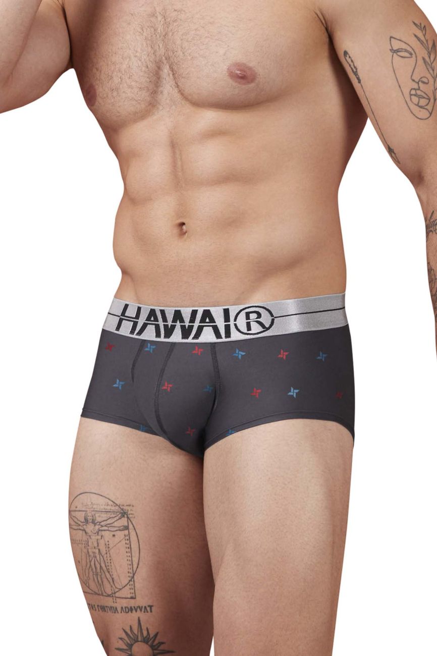 Black men’s gray microfiber boxer briefs with silver hawai waistband and red and blue star patterns