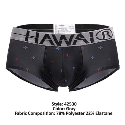 Gray hawai brand men’s microfiber briefs in gray with black waistband hawai logo and red blue star patterns
