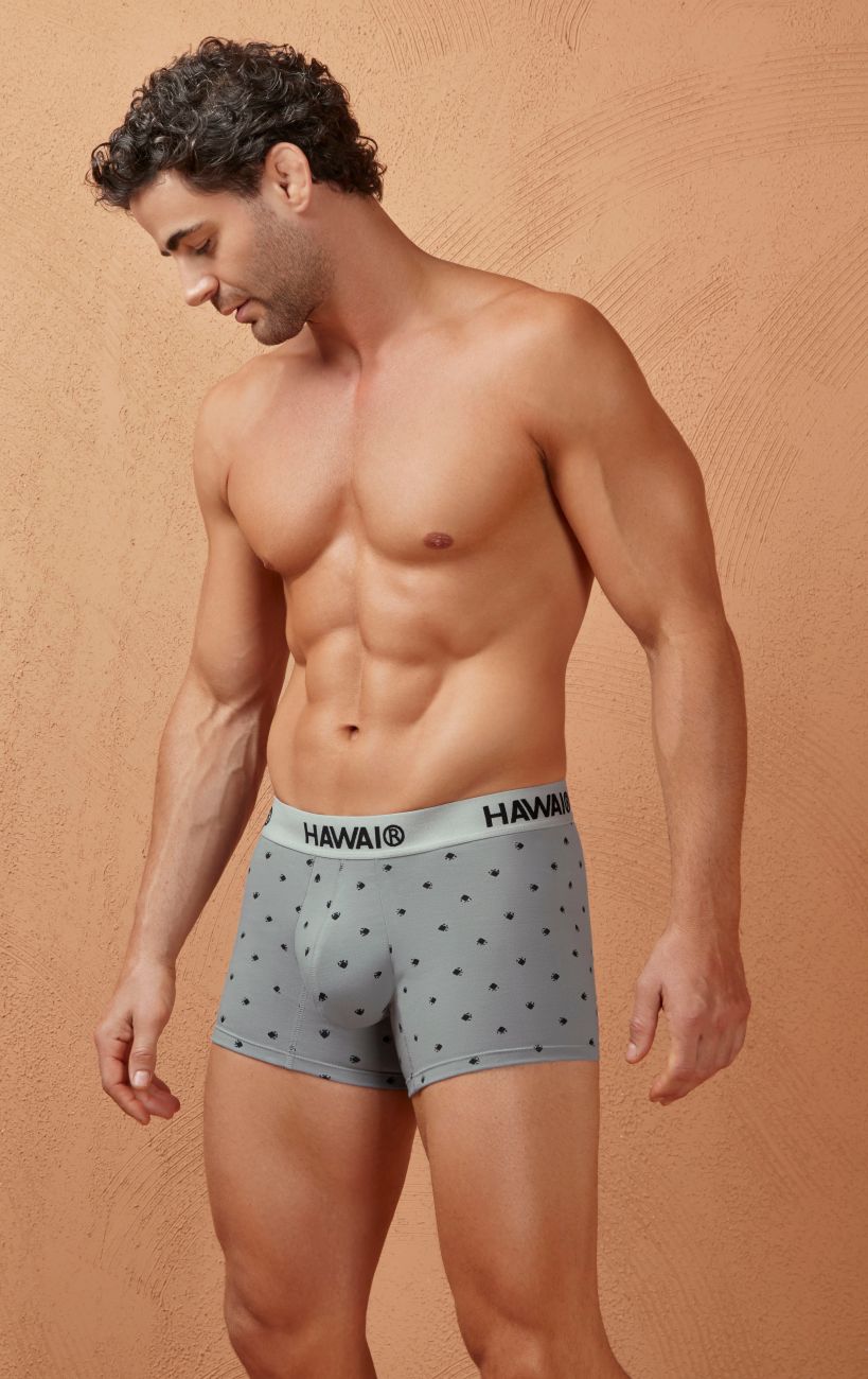 Gray cotton blend trunks with gray polka dots and a white hawaii branded waistband model 42571
