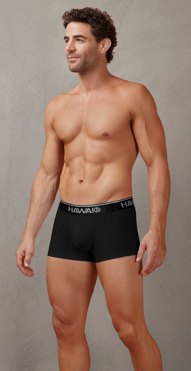 Black men’s cotton blend boxer briefs in black with a white hawaii logo on the waistband front view
