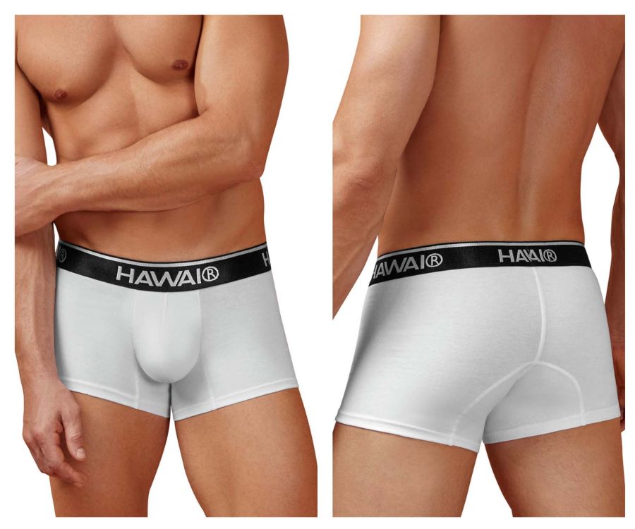 White hawai brand cotton blend briefs in white with a black elastic waistband featuring the logo in white lettering