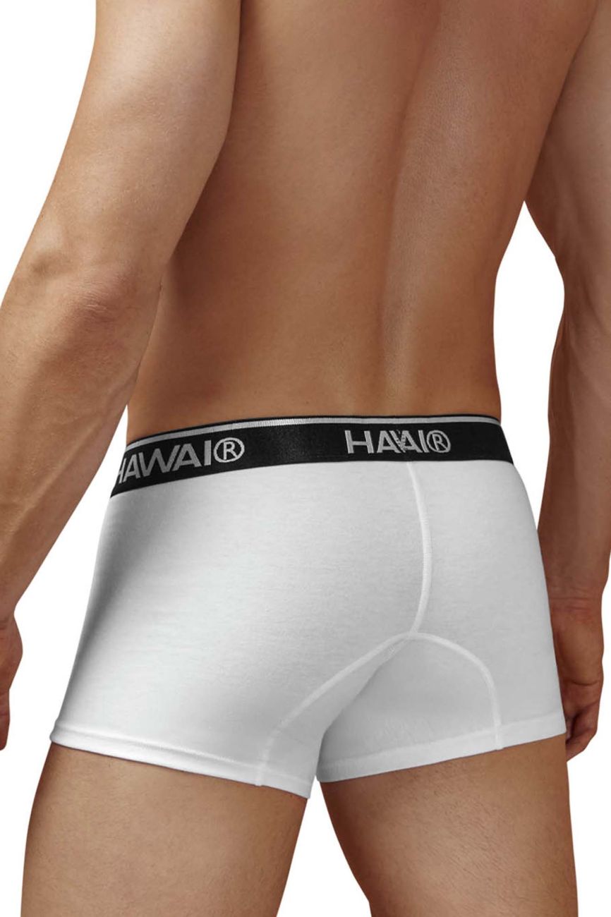 White men’s briefs with black waistband featuring hawai logo made of cotton blend in color white model 4986