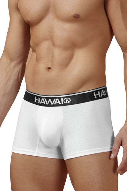 White men’s briefs with black elastic waistband featuring hawai brand name in white cotton blend trunks color white
