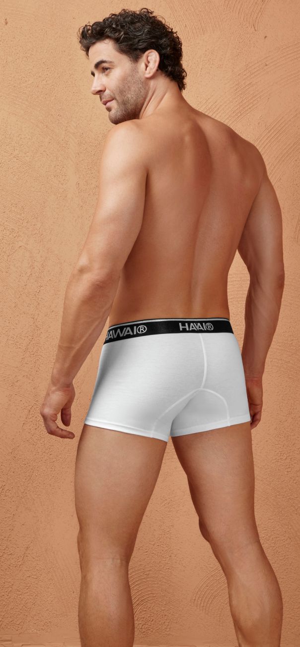 White h&m cotton blend boxer briefs with black elastic waistband featuring brand logo color white 01