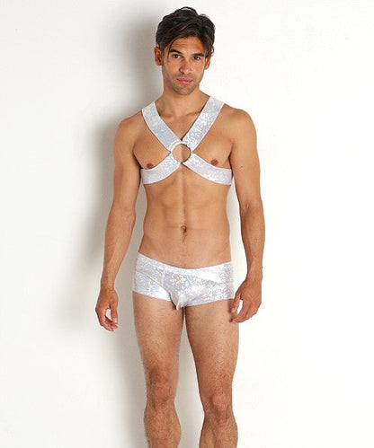 Silver sequined hologram harness top and matching briefs set with shimmering material for bold fashion statements