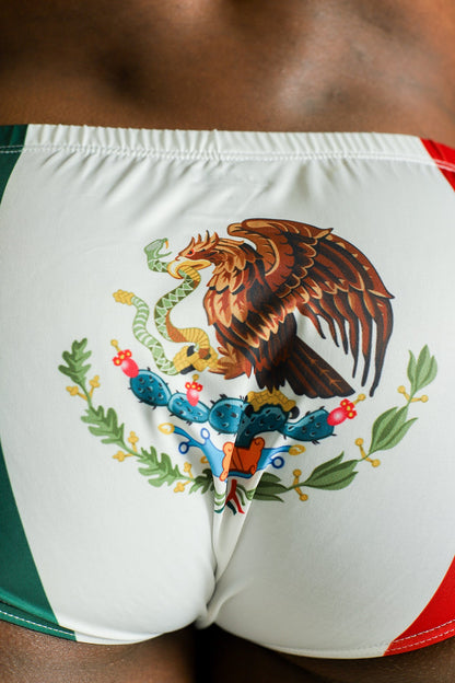 JJ Malibu Men's Lovesick Briefs - Mexican Flag