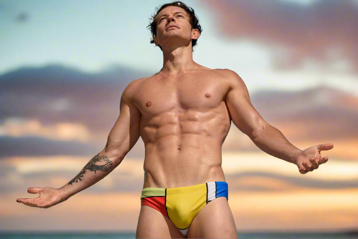 Maris Equi ModRian Men's Mondrian Inspired Swim Briefs