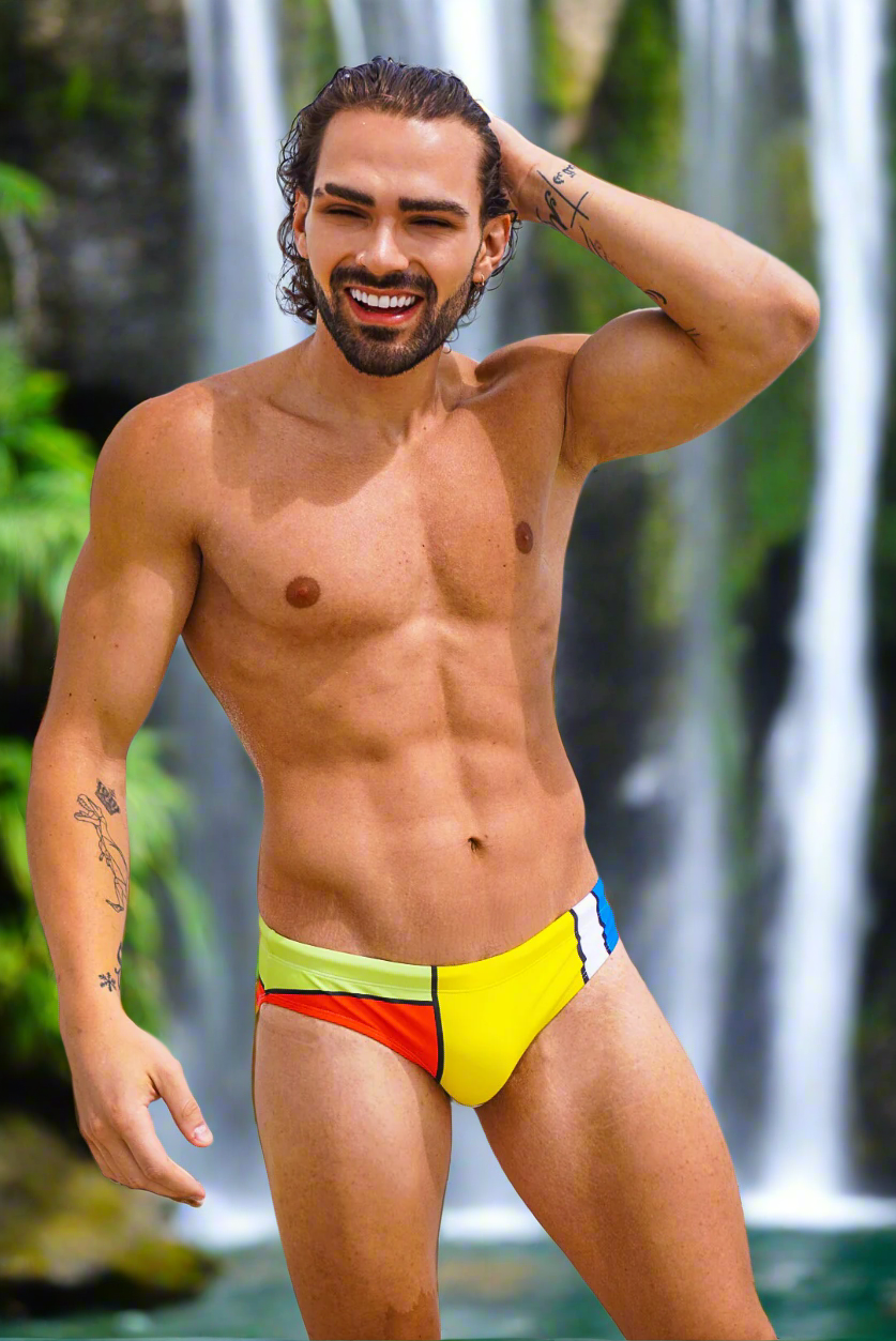 Maris Equi ModRian Men's Mondrian Inspired Swim Briefs
