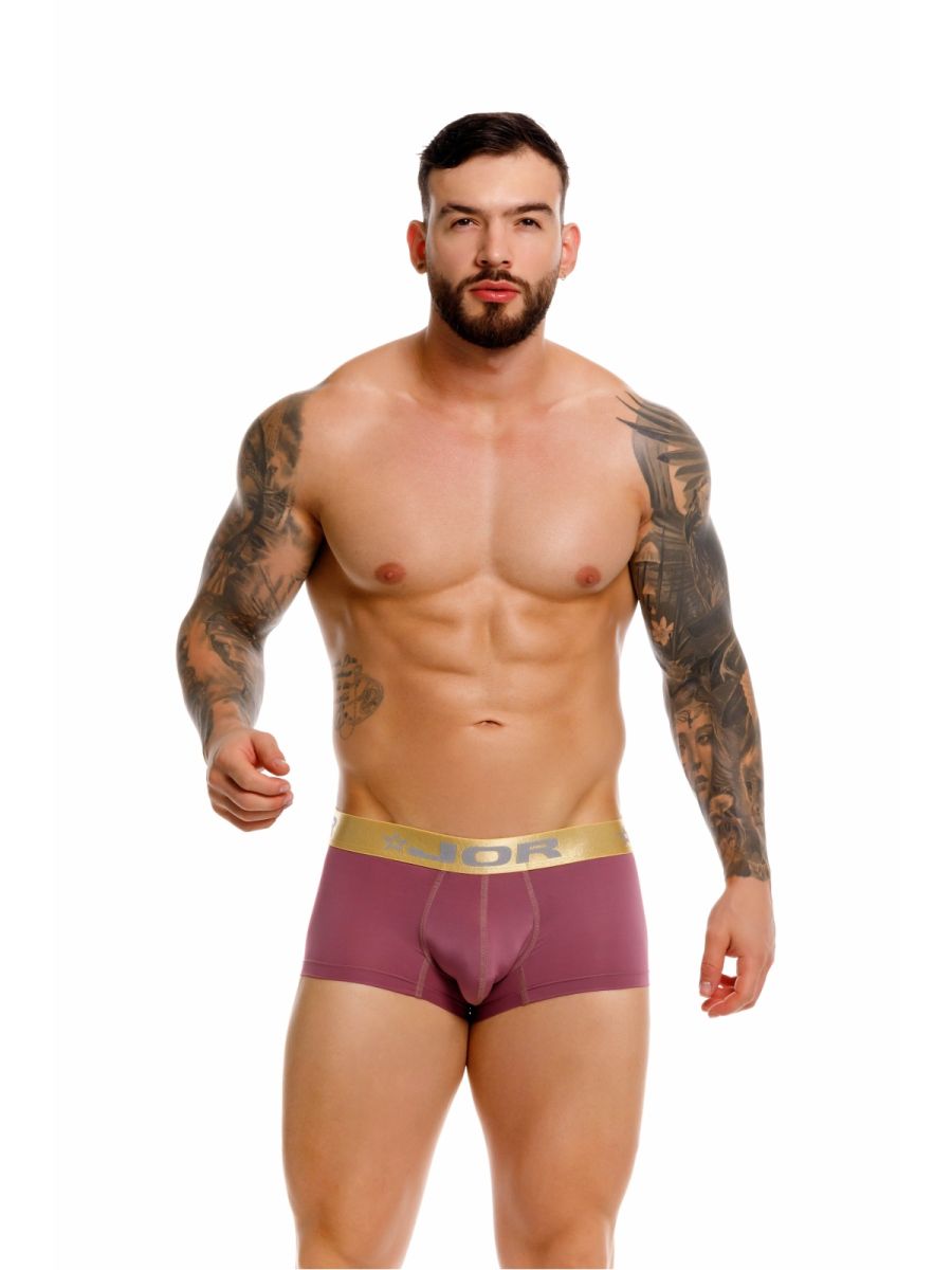 Purple dior boxer briefs with gold waistband featuring the dior logo in color wine jor 2326 soho trunks