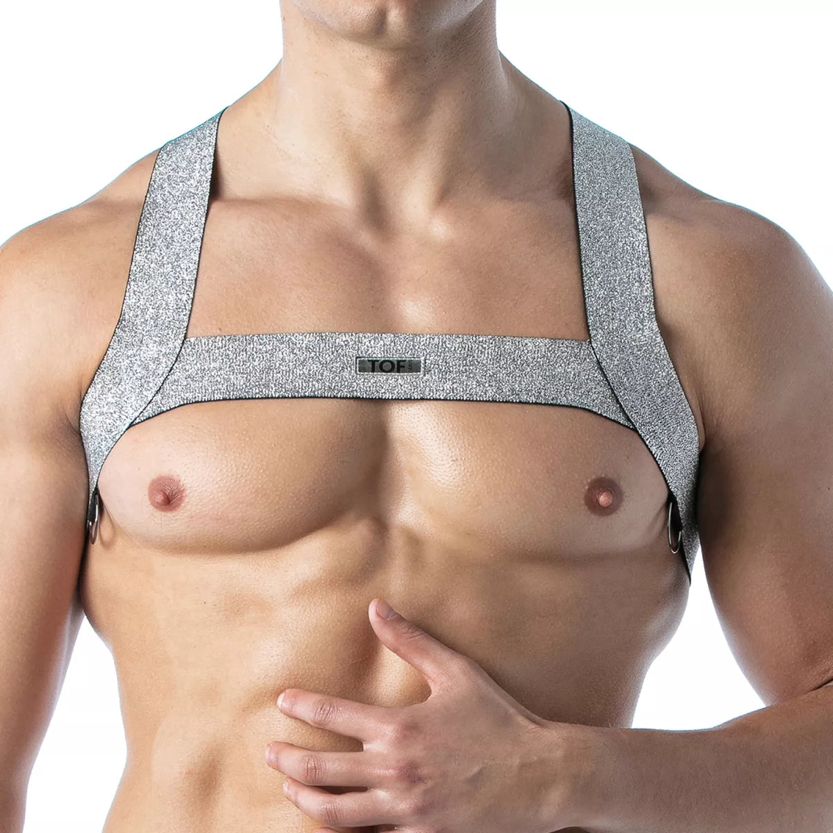 Silver glittery magic h harness with black trim and small top logo on the front for stylish wear