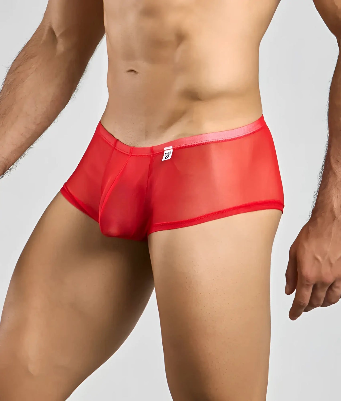 Mob men’s sexy sheer hip brief in red sheer mesh with solid red waistband and trim