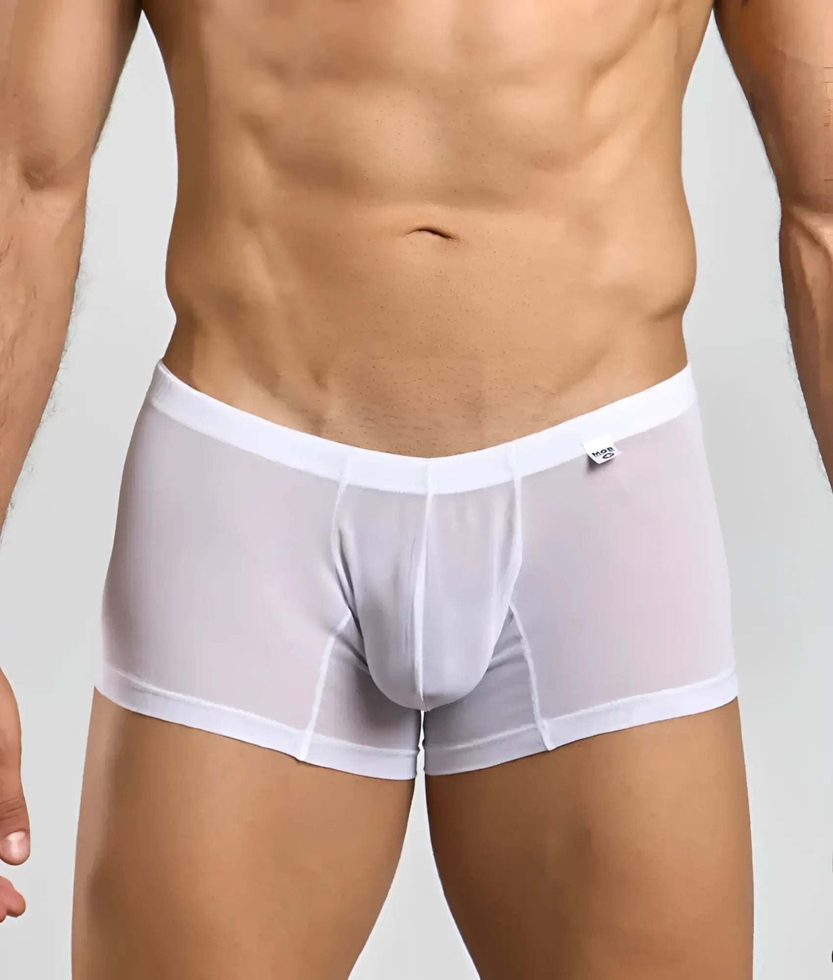 Mob men’s lace boxer white sheer mesh briefs with solid waistband and subtle stitching details front view