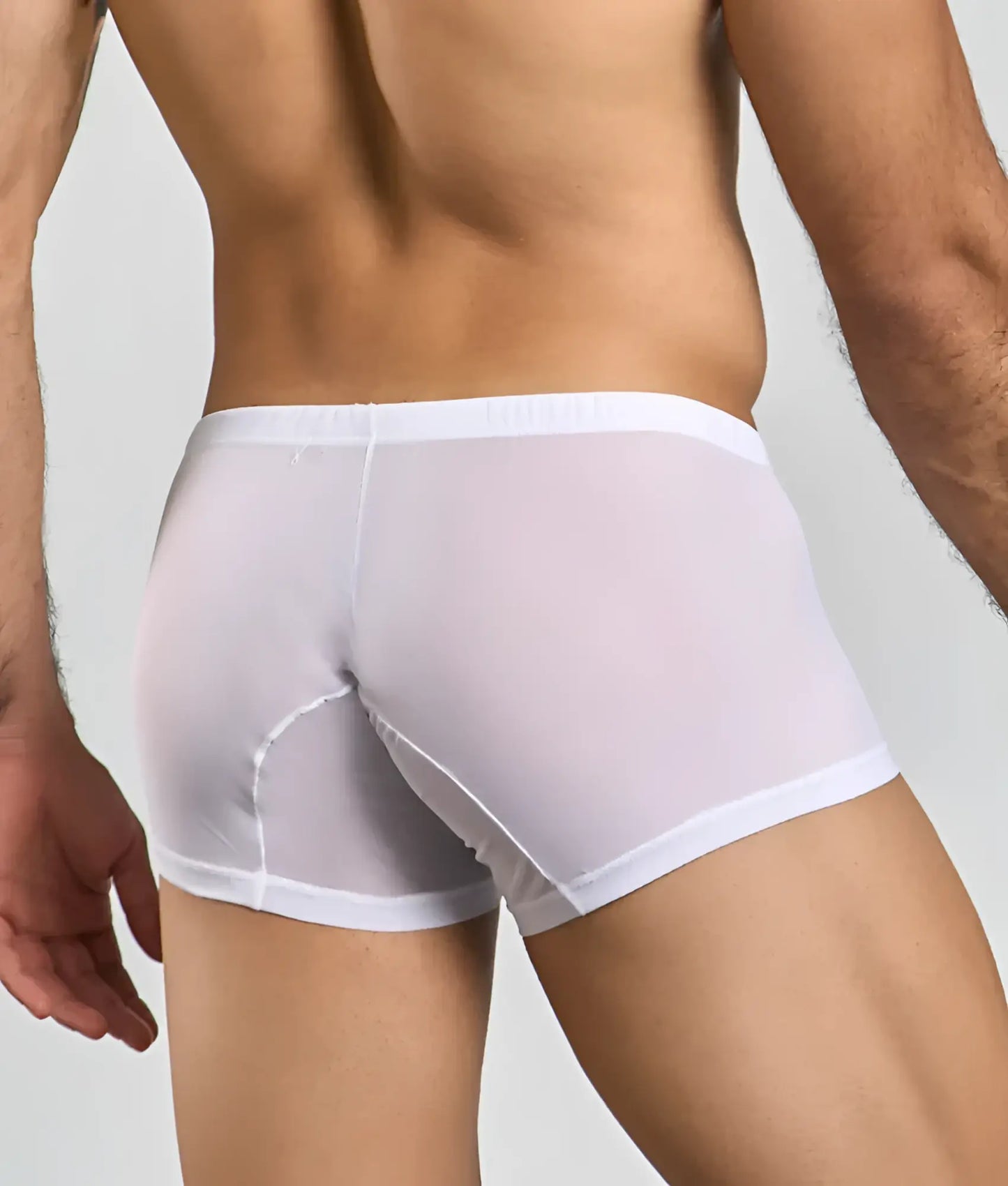 Mob men’s lace boxer white sheer boxer briefs with solid white waistband and leg openings front view