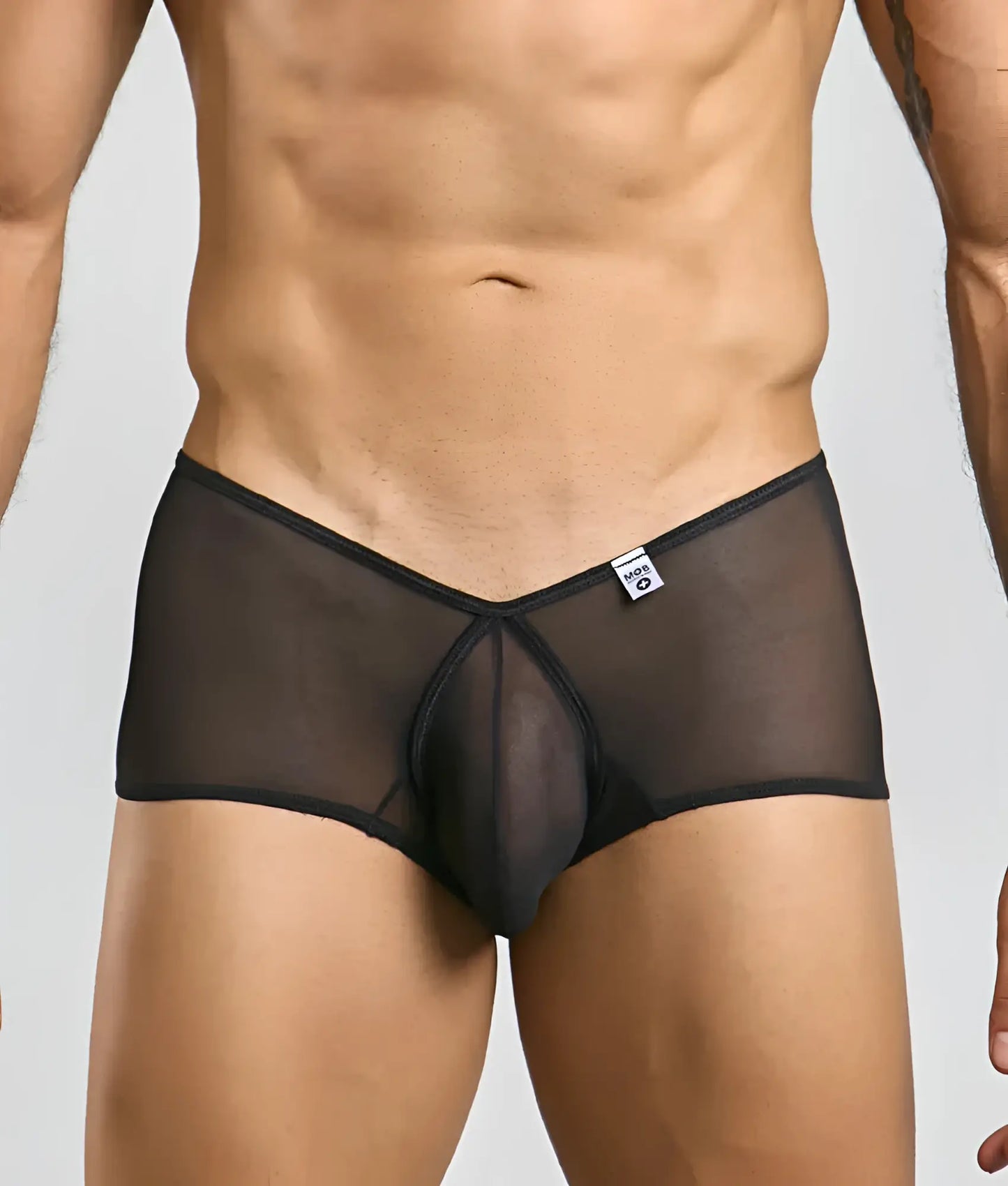 Black sheer mesh mob loop cheeky trunk briefs with solid black waistband and front panel for comfortable wear