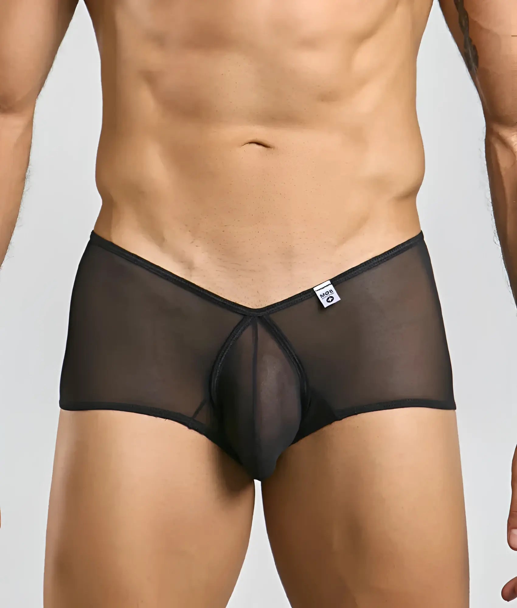 Black sheer mesh mob loop cheeky trunk briefs with solid black waistband and front panel for comfortable wear