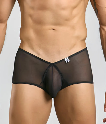 Black sheer mesh mob loop cheeky trunk briefs with solid black waistband and front panel for comfortable wear