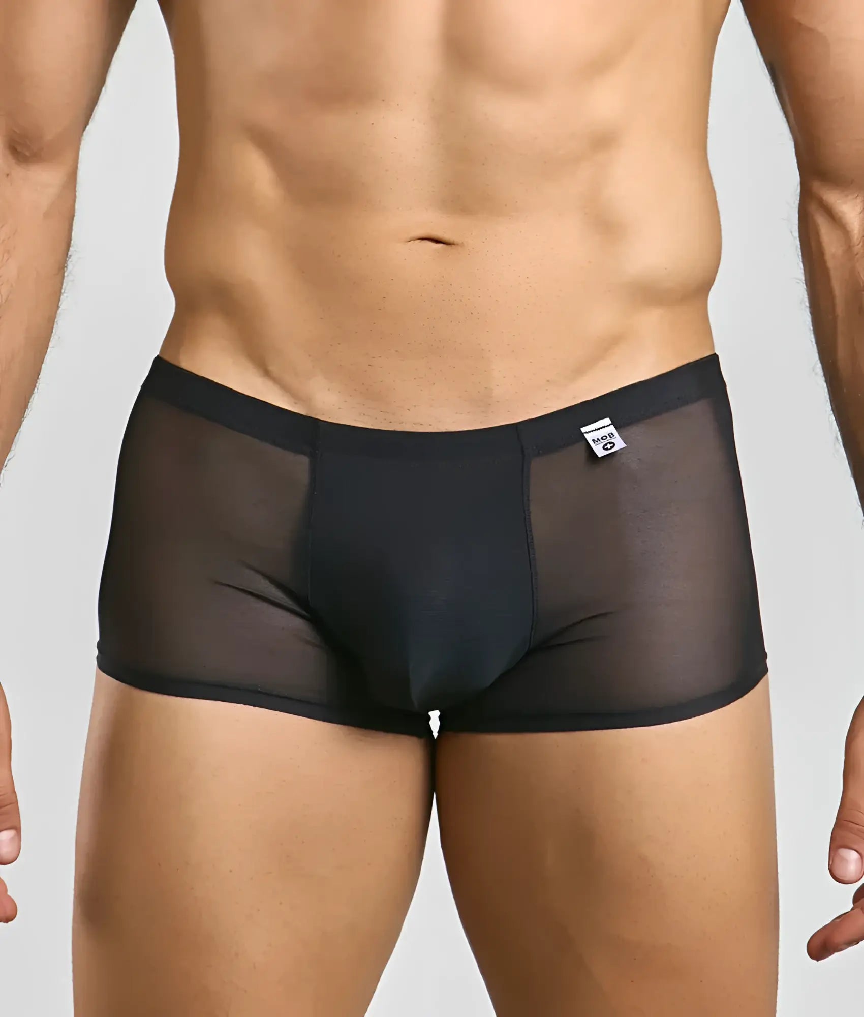 Men’s mesh lace pouch trunk in black sheer mesh with solid waistband and small white brand tag