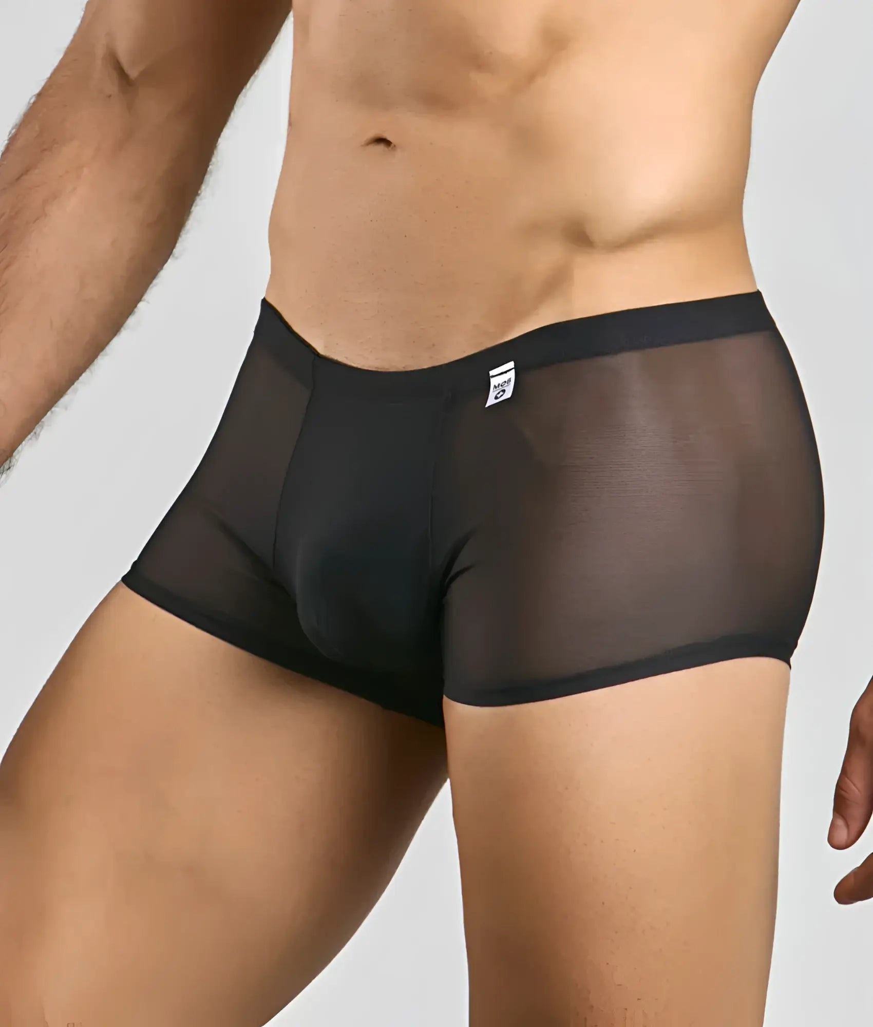 Black sheer mesh men’s mesh lace pouch trunk briefs with solid waistband and small white brand tag