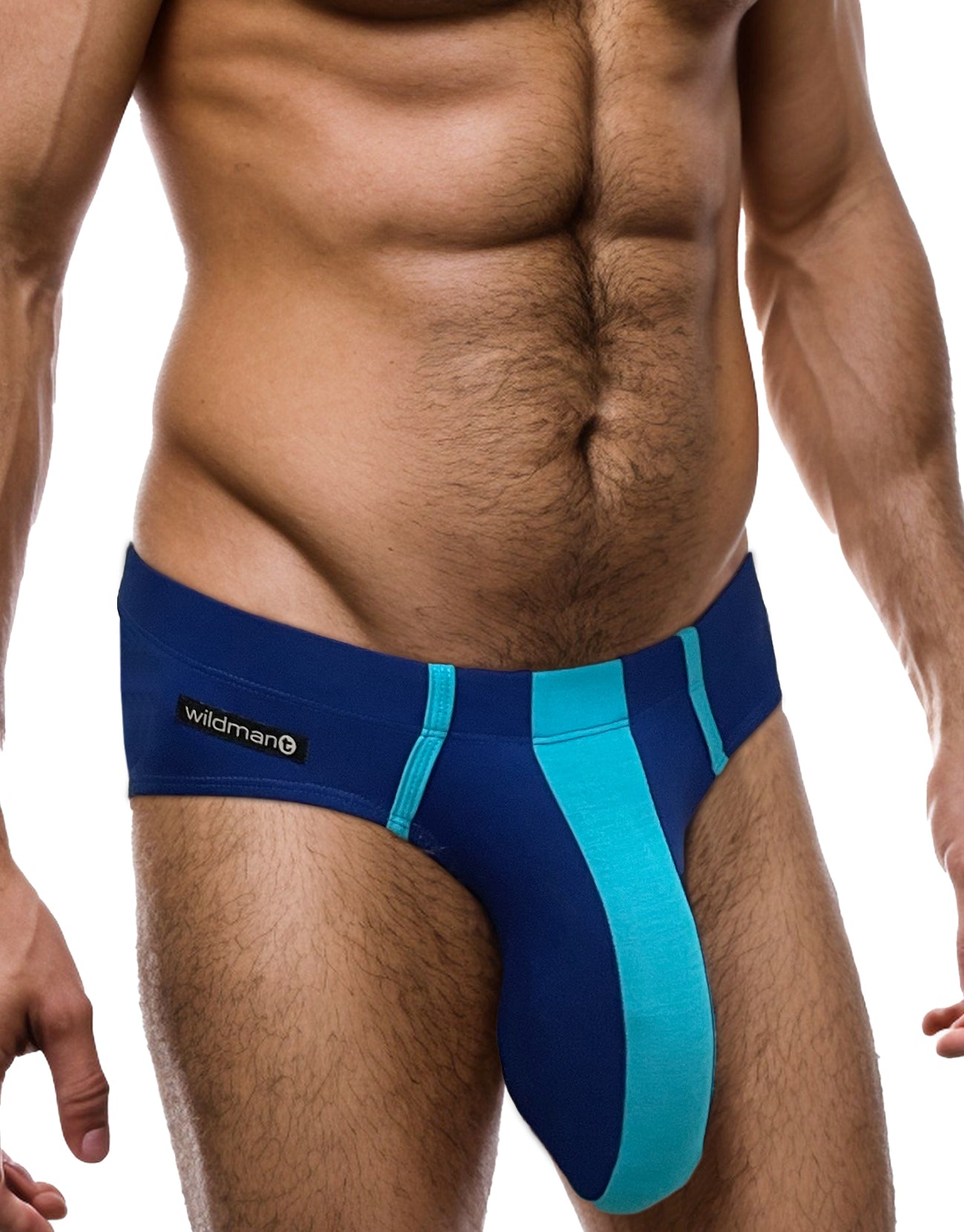 Royal and baby blue modal brief with a central color-blocked pouch and a WildmanT logo tag on the side.