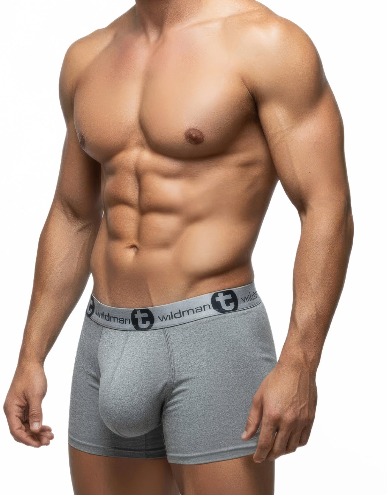 WildmanT gray modal boxer briefs with a prominent pouch and branded elastic waistband worn by a muscular man.