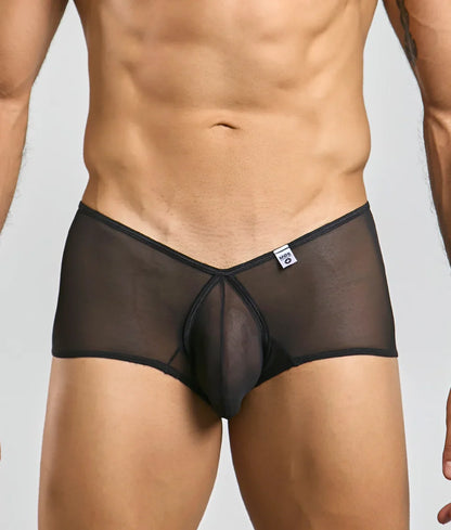 Black sheer mesh briefs with solid black waistband and front panel from mob loop cheeky trunk collection