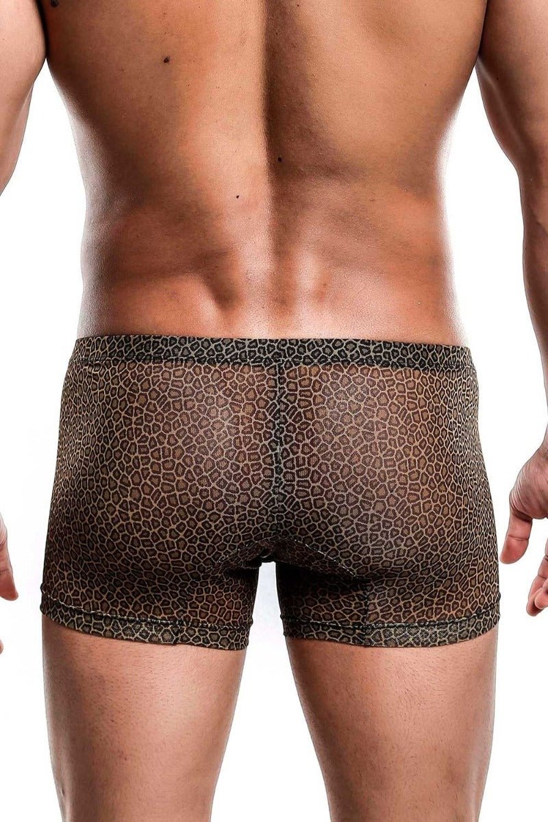 Brown leopard-print mesh briefs with tull pouch by mob for men final sale product front view