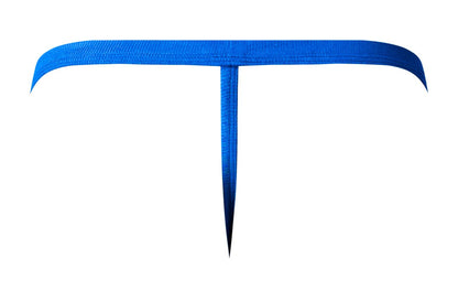 Male power 449-11c fishnet 2 g-string in royal blue with textured fabric and sleek t-shaped design shown from back side