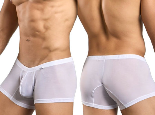Malebasics mbl78 lace trunks white mesh men’s briefs with sheer fabric and solid white waistband and trim
