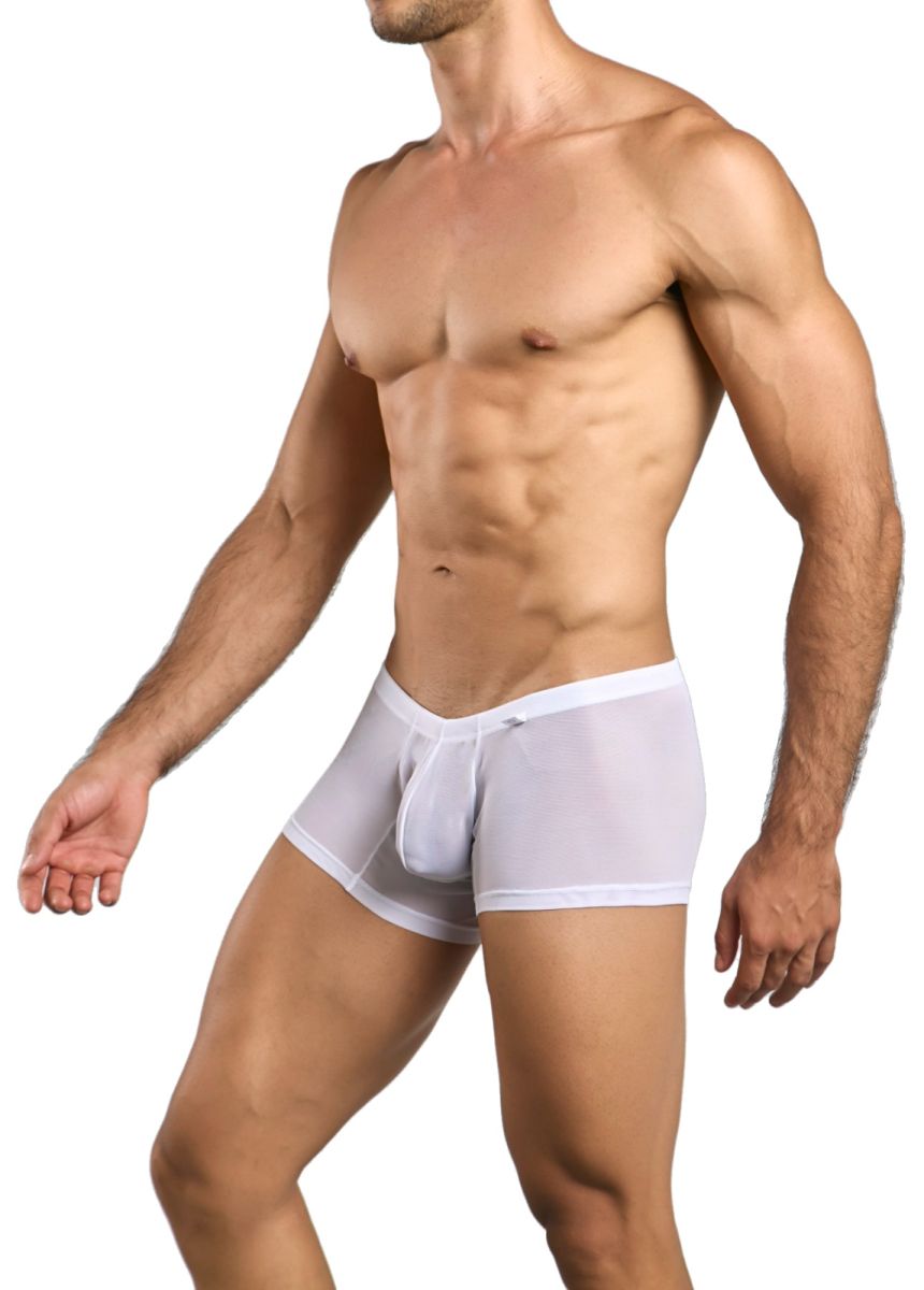 Malebasics mbl78 lace trunks in white sheer mesh briefs with a solid white waistband for men