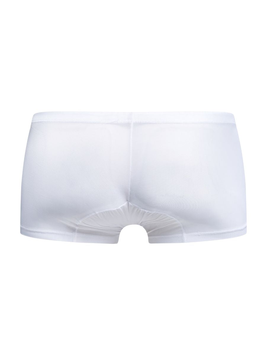 Malebasics mbl78 lace trunks in white sheer mesh briefs with a smooth elastic waistband front view