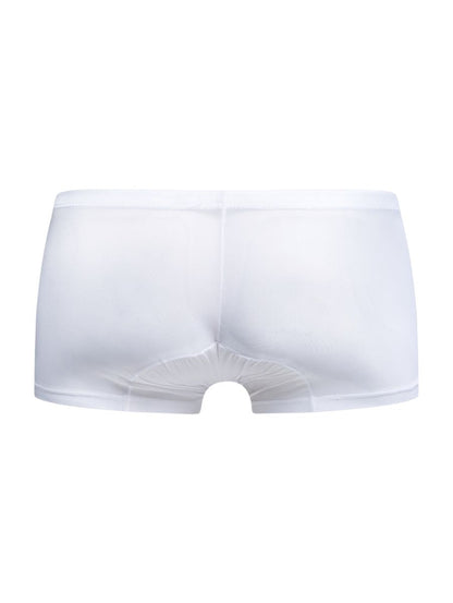 Malebasics mbl78 lace trunks in white sheer mesh briefs with a smooth elastic waistband front view