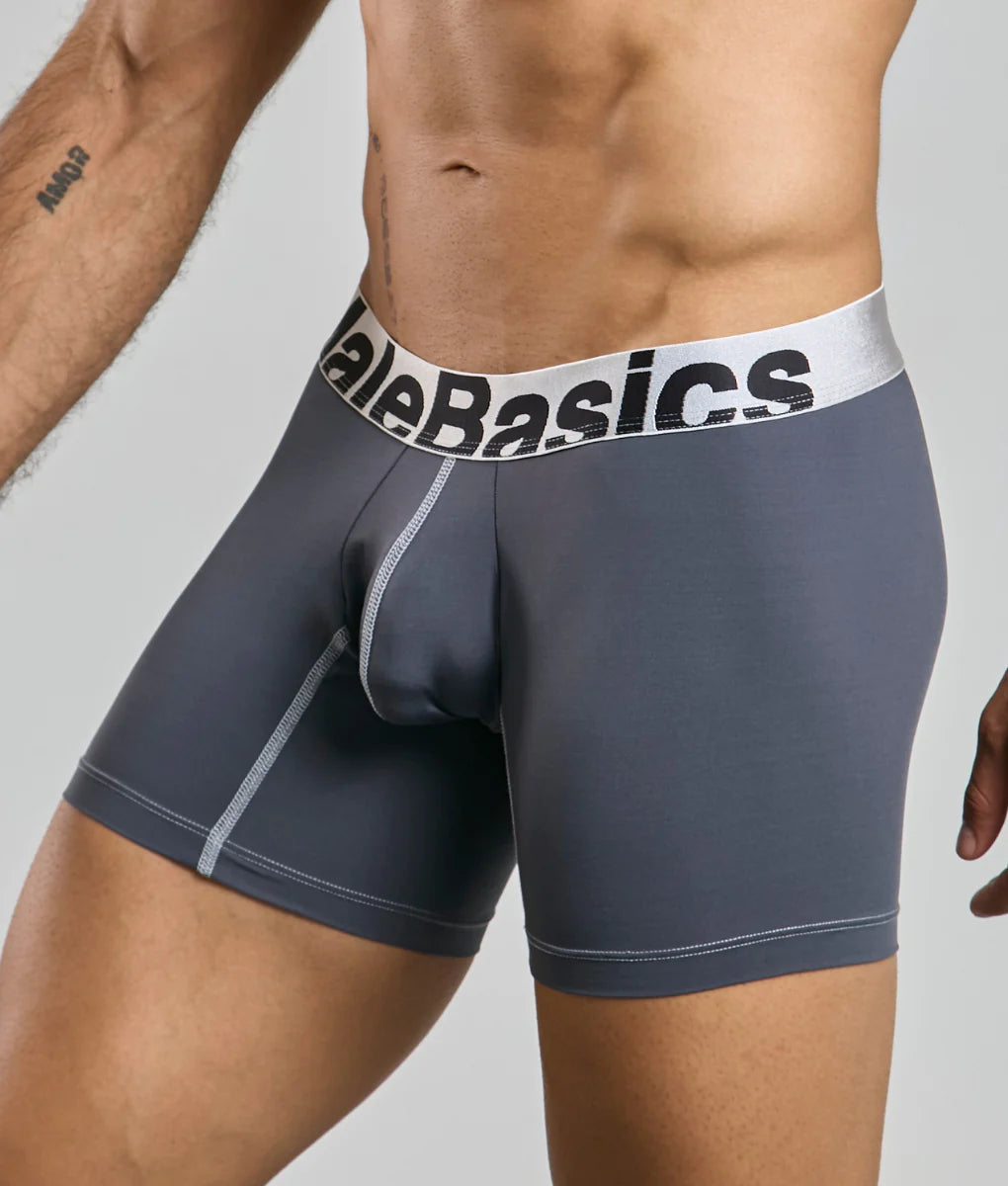 Gray men’s microfiber boxer briefs with white waistband light gray stitching and black malebasics branding