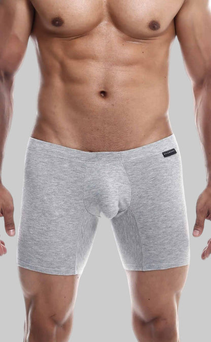 Gray heathered MaleBasics Silver plus boxer briefs with contoured pouch and elastic waistband for men