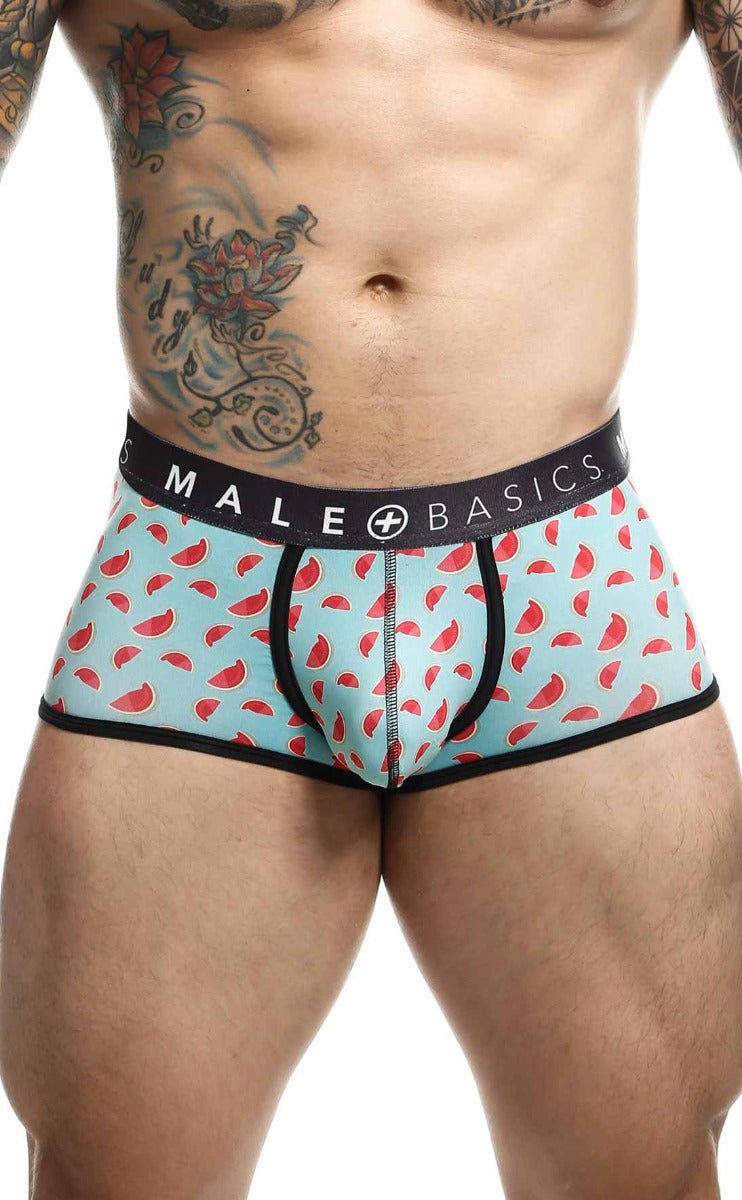 Malebasics trunk sexy pouch men’s briefs in light blue watermelon pattern with black trim and male basics waistband