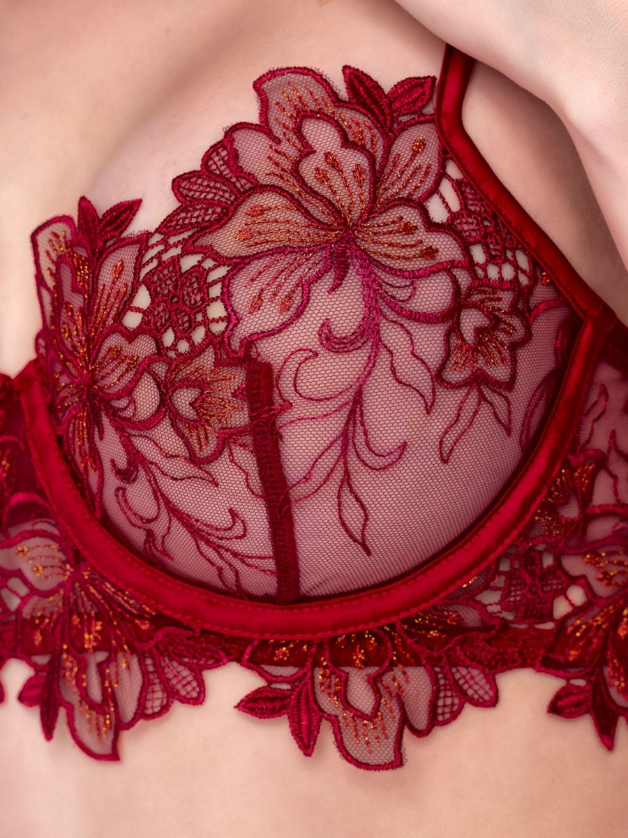 Rosewood sheer mesh underwire bra with intricate red floral embroidery and scalloped lace trim.